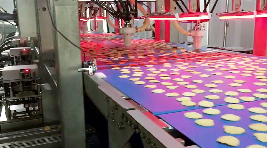 Project Case: Intelligent Robot Potato Chip Picking and Packaging Production Line